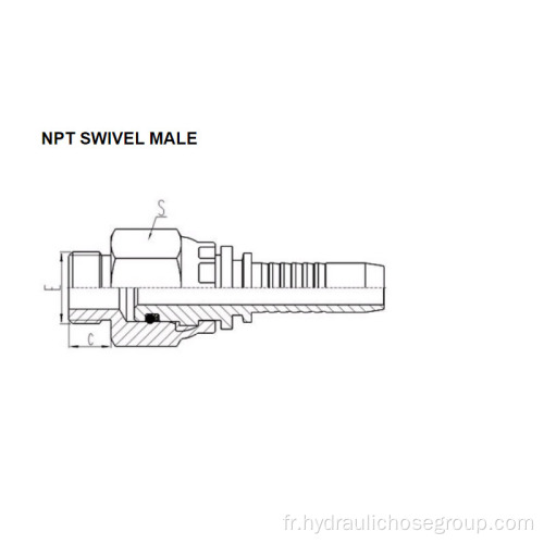 Filetage NPT Pivot Mâle 15611SW